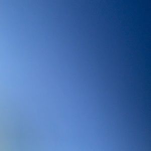 Meet your Posher, Libbie